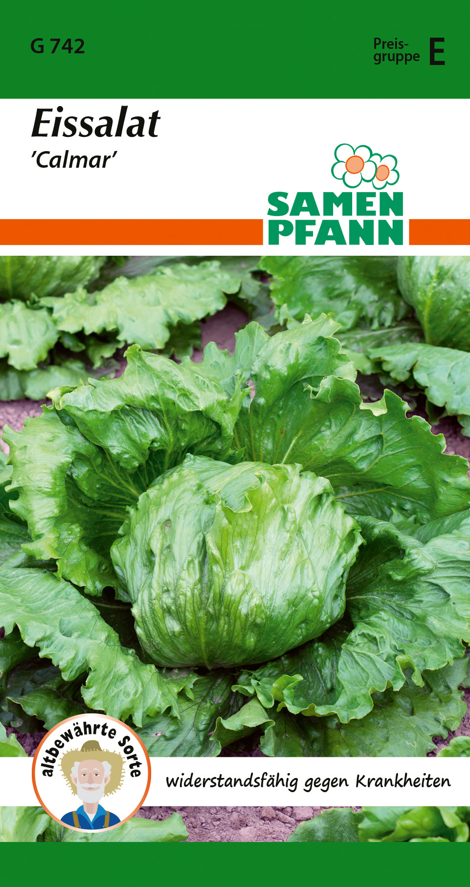 Samen Pfann Eissalat Calmar