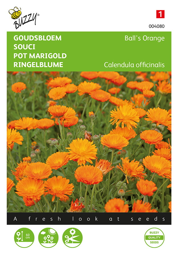 Buzzy Seeds Ringelblumen Ball’s Orange gefüllte
