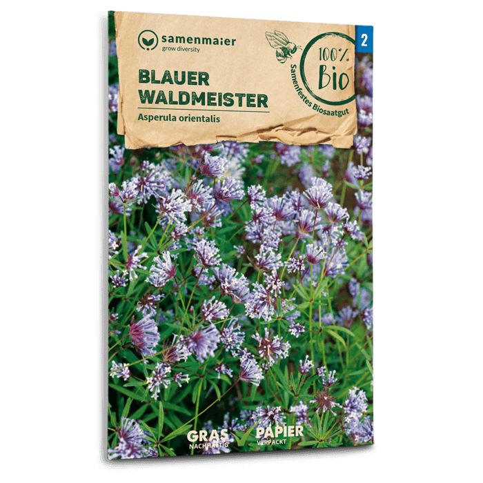 Samen Maier BIO Waldmeister Blauer
