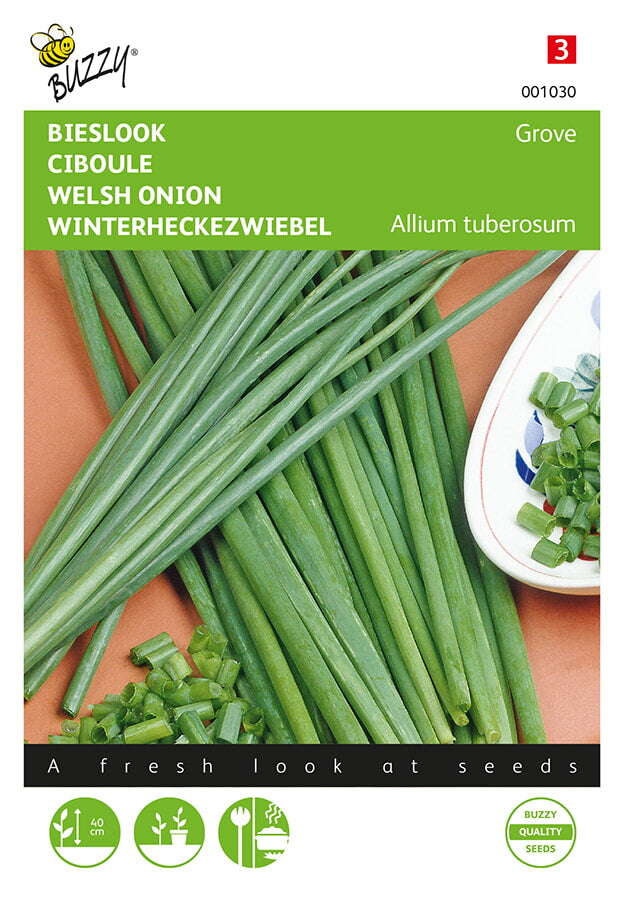 Buzzy Seeds Lauchzwiebeln Winterhecke
