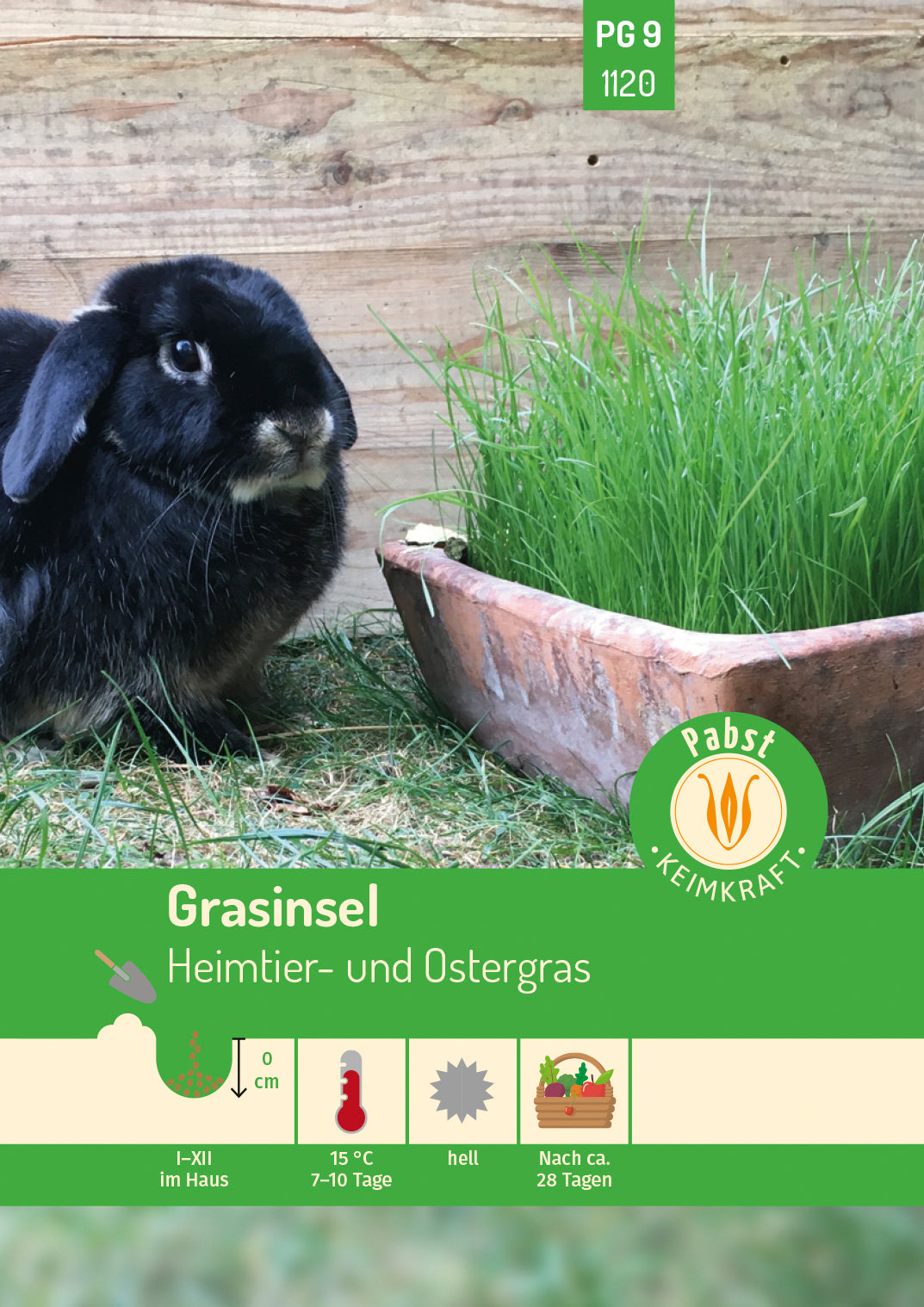 Pabst Keimkraft Gräser Grasinsel Heimtier- und Ostergras