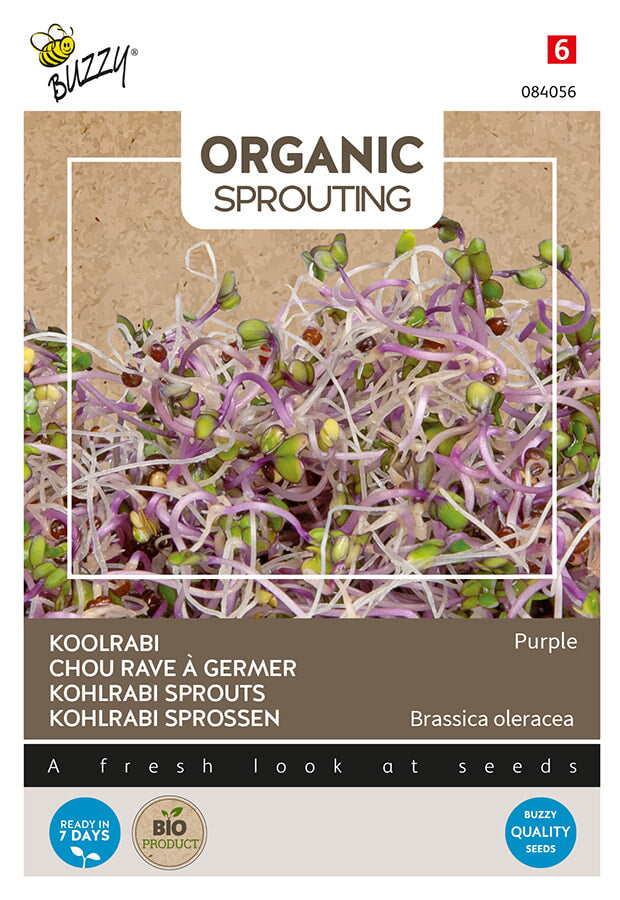 Buzzy Seeds BIO Keimsprossen Kohlrabi blaue
