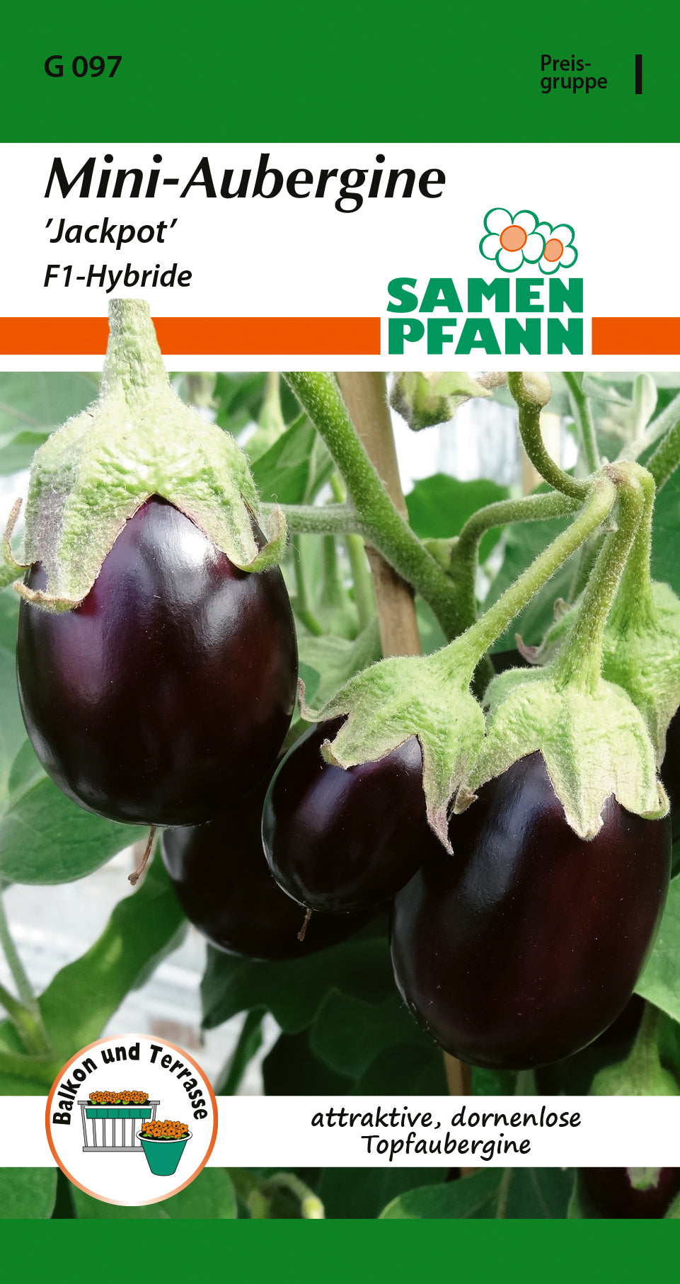 Samen Pfann Mini-Aubergine Jackpot