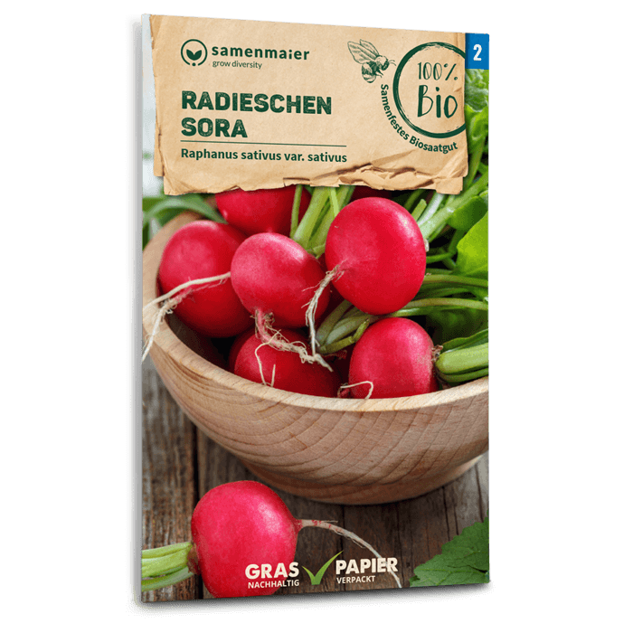 Samen Maier BIO Radieschen Sora