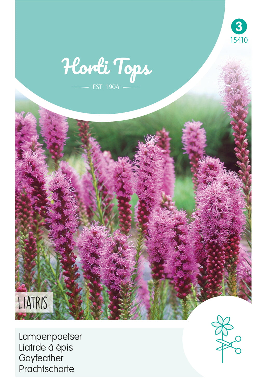 Horti Tops Prachtscharte Spicata