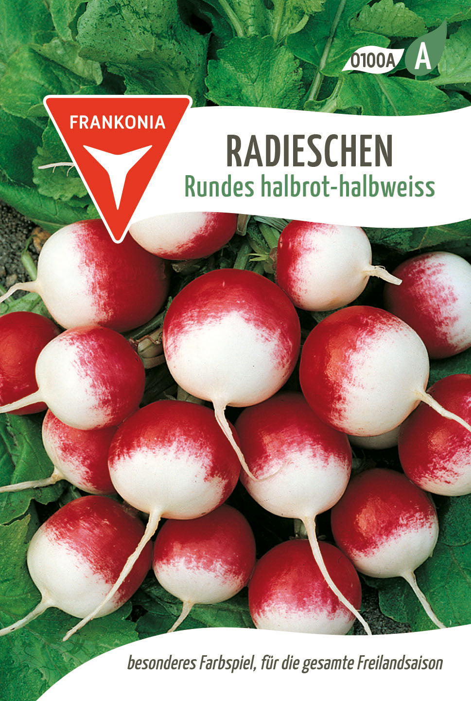 Frankonia Samen Radieschen Rundes halbrot-halbweiss
