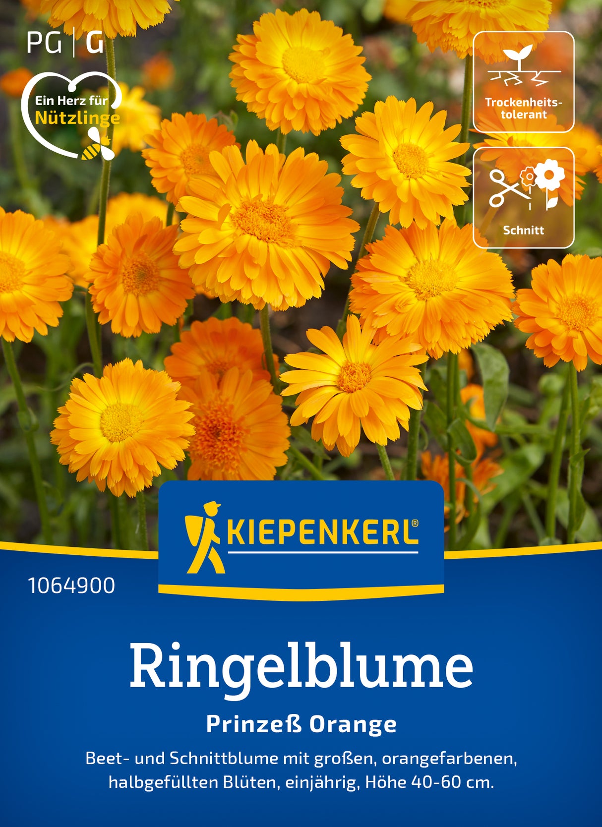 Kiepenkerl Ringelblumen Prinzeß Orange