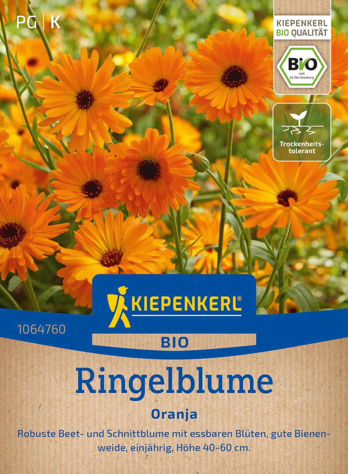 Kiepenkerl Ringelblumen Oranja