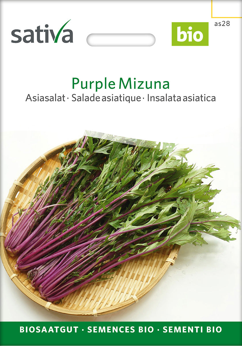 Sativa Asiasalat Purple Mizuna