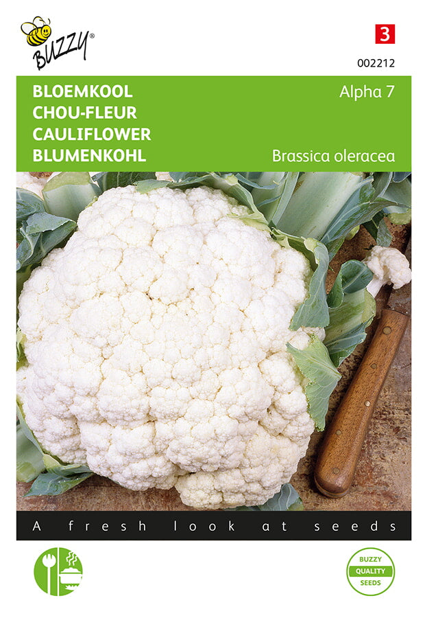 Buzzy Seeds Blumenkohl Alpha 7