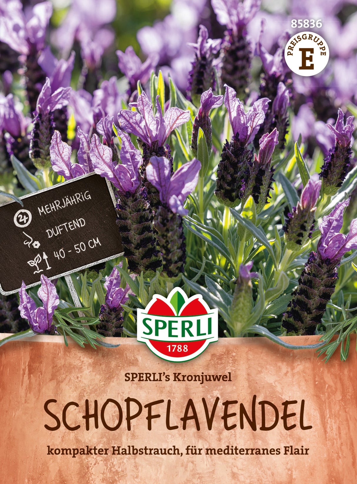 SPERLI Schopflavendel SPERLI's Kronjuwel