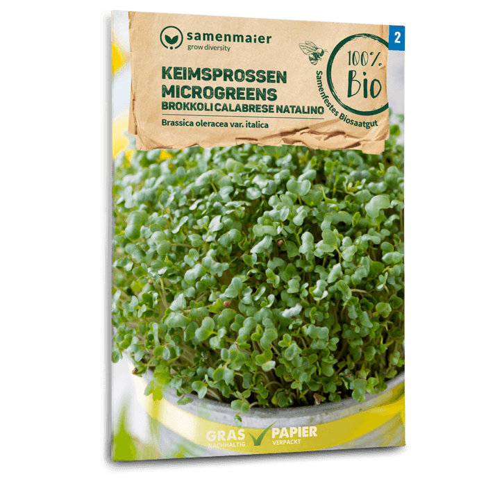 Samen Maier BIO Keimsprossen Brokkoli Calabrese natalino