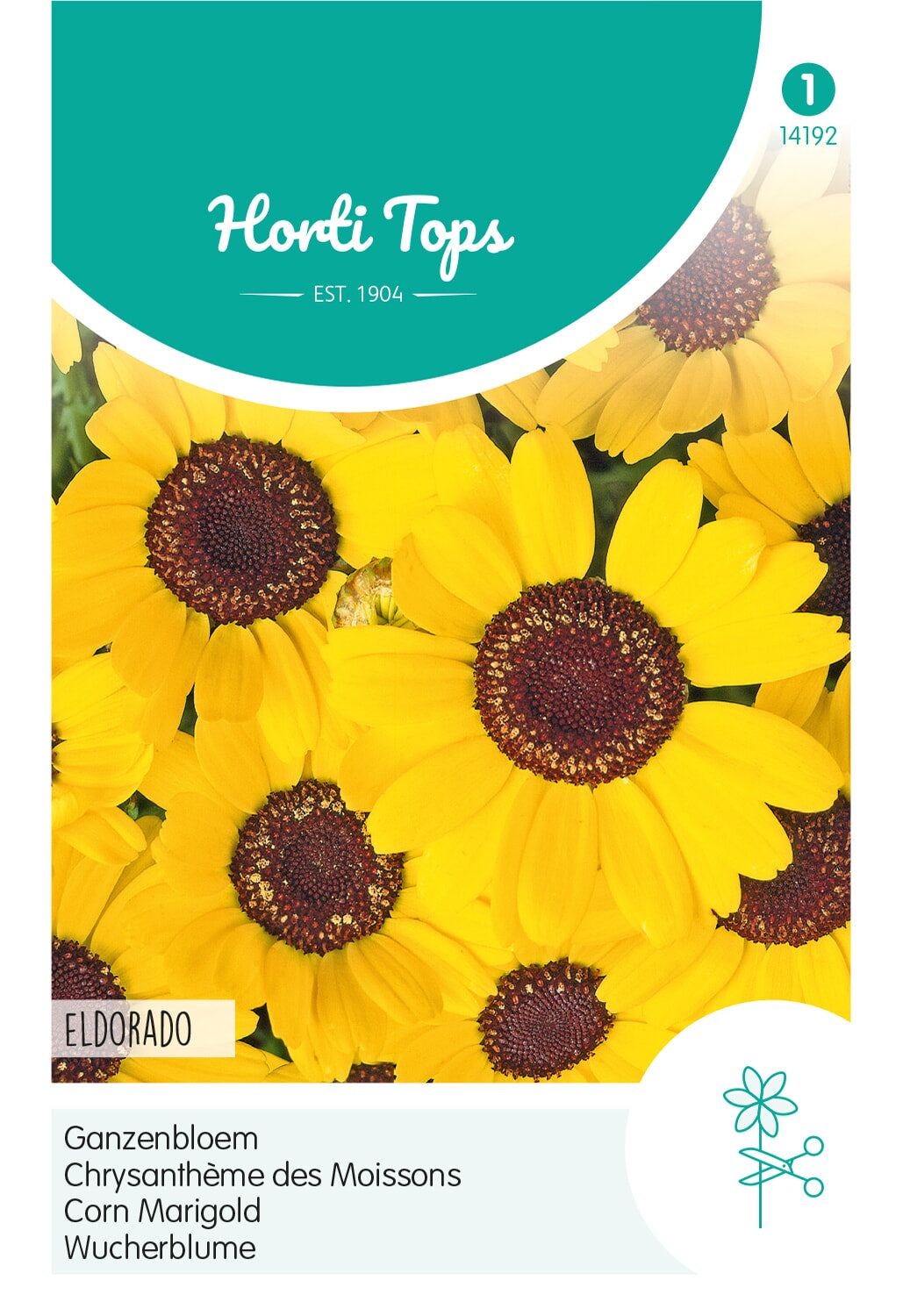 Horti Tops Wucherblume Segetum Eldorado, Gelb
