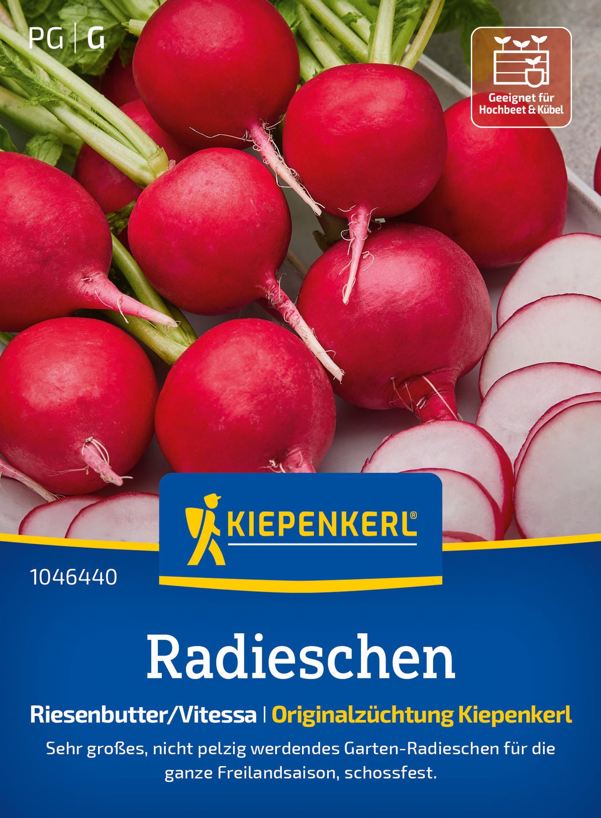 Kiepenkerl Radieschen Riesenbutter/Vitessa