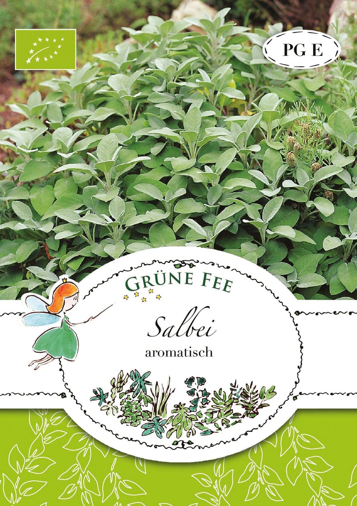 Grüne Fee Salbei aromatisch