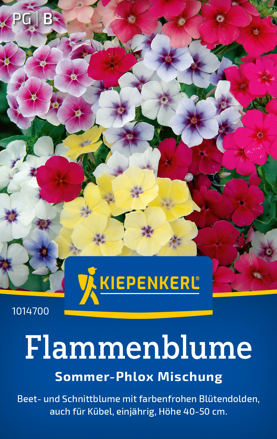 Kiepenkerl Flammenblumen Sommer-Phlox Mischung