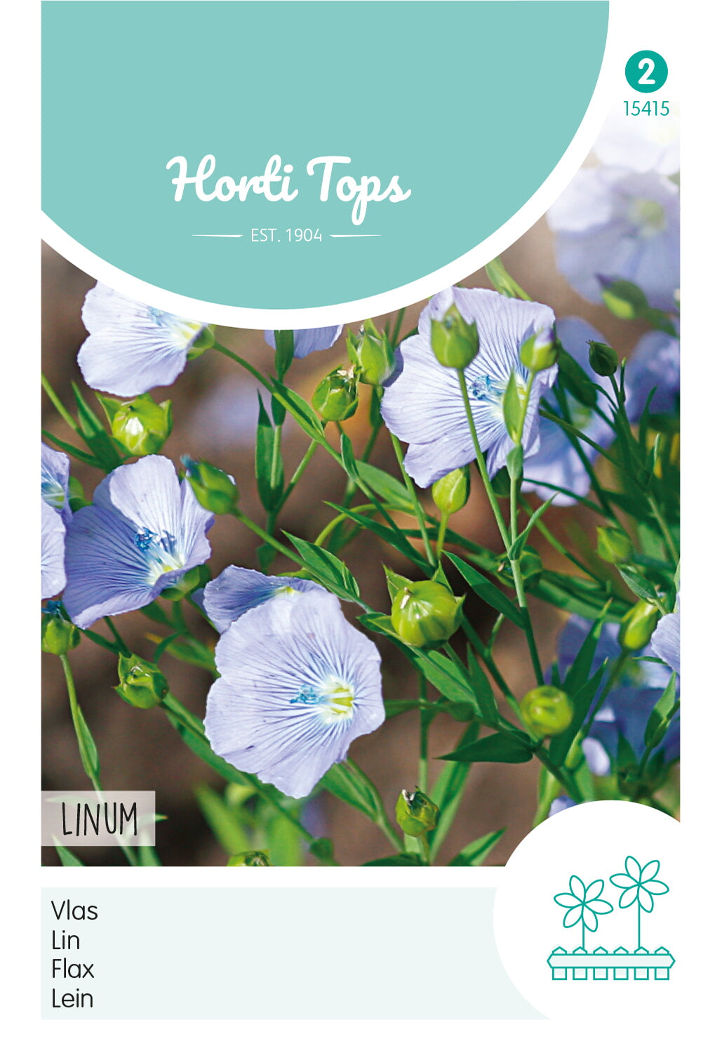 Horti Tops Staudenlein Perenne Blau