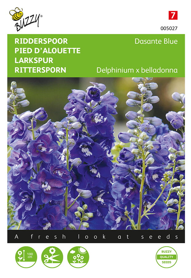 Buzzy Seeds Rittersporn Dasante Blue