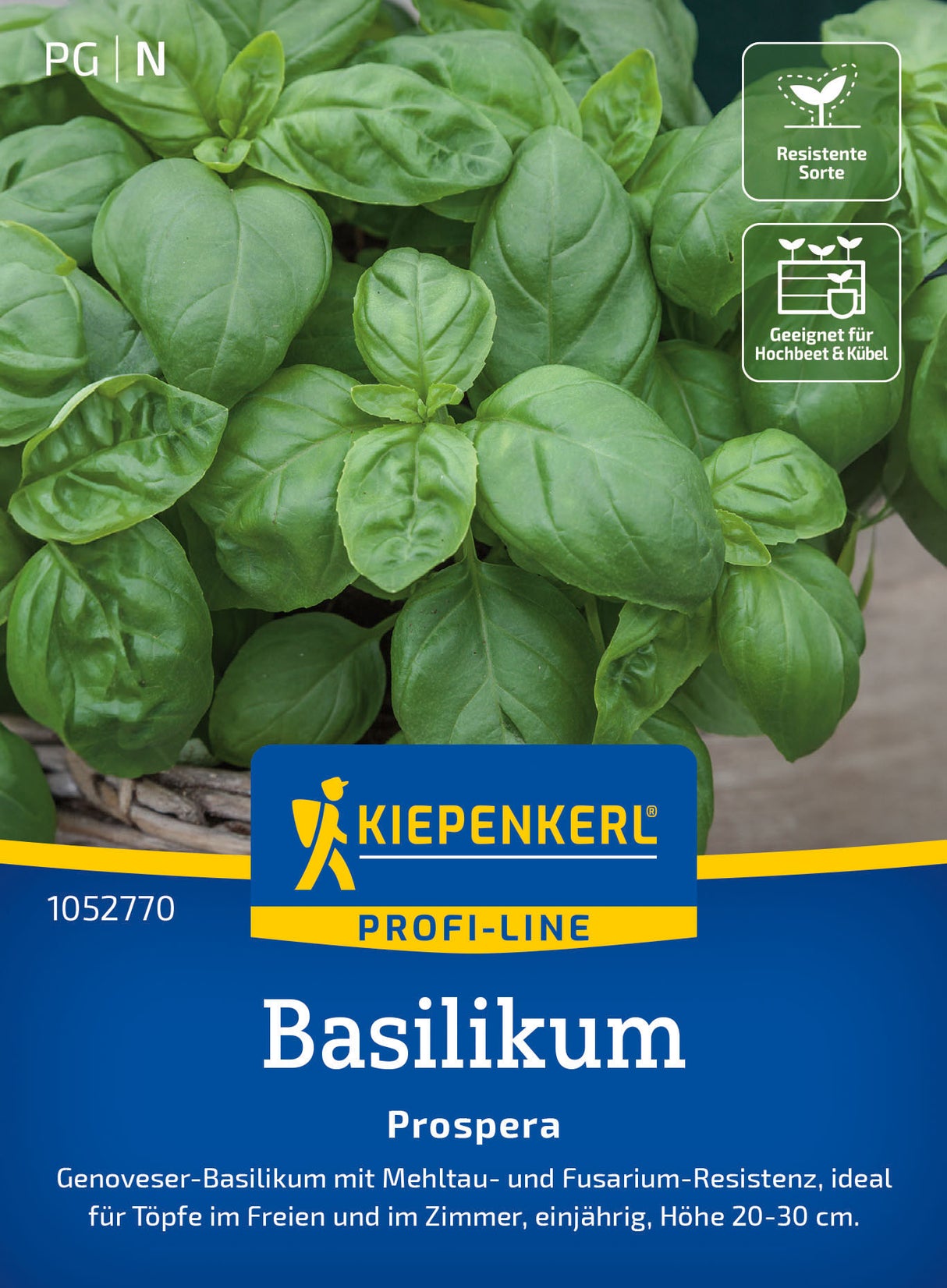 Kiepenkerl Basilikum Prospera