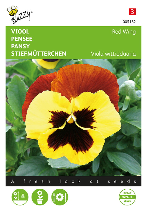 Buzzy Seeds Stiefmütterchen Roter Flügel