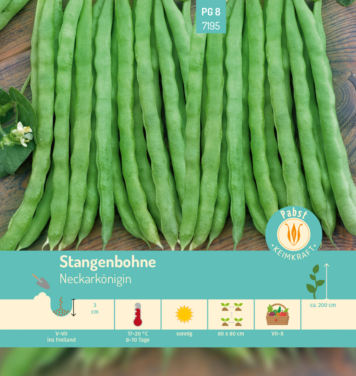 Pabst Keimkraft Stangenbohnen Neckarkönigin