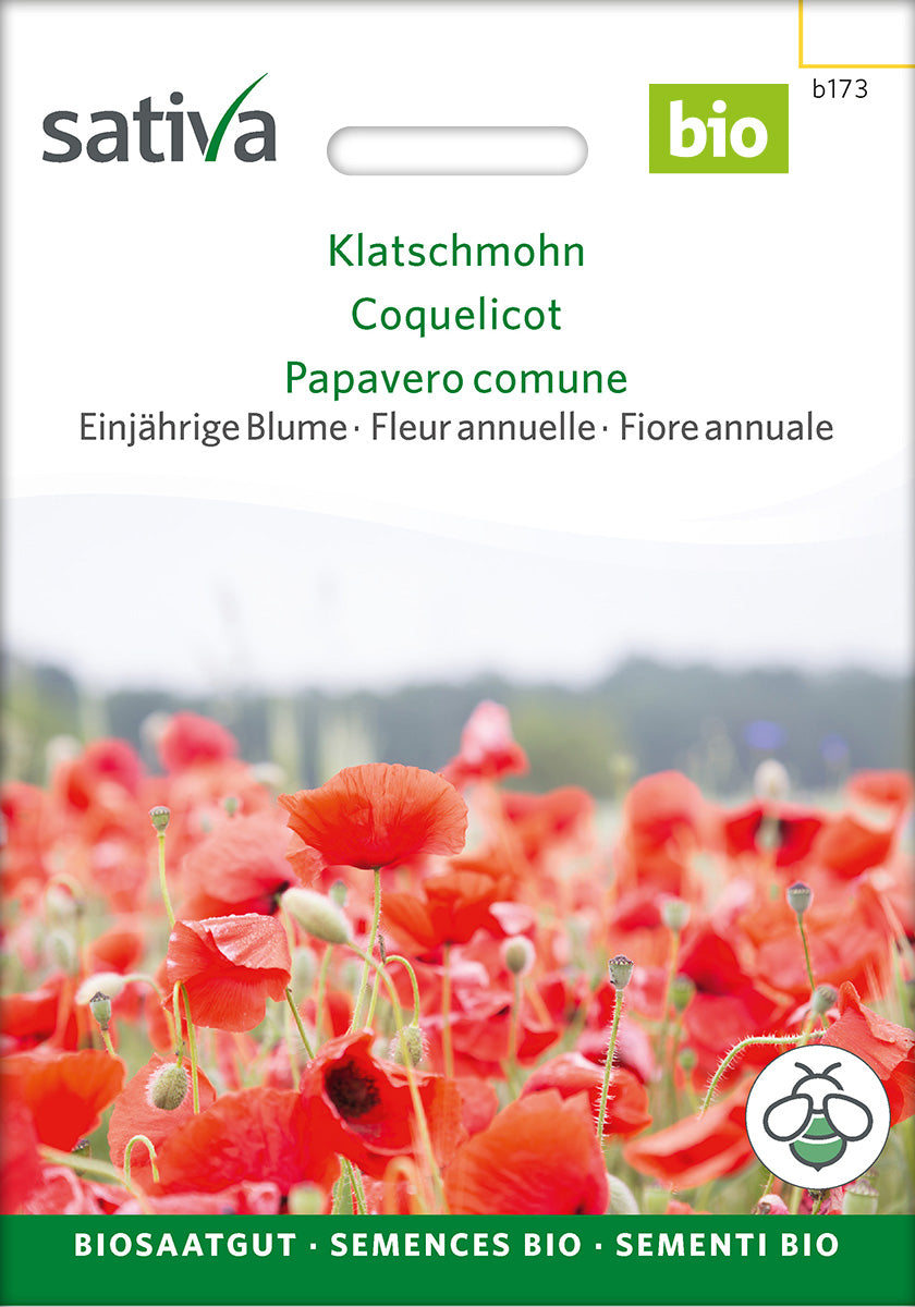 Sativa Klatschmohn