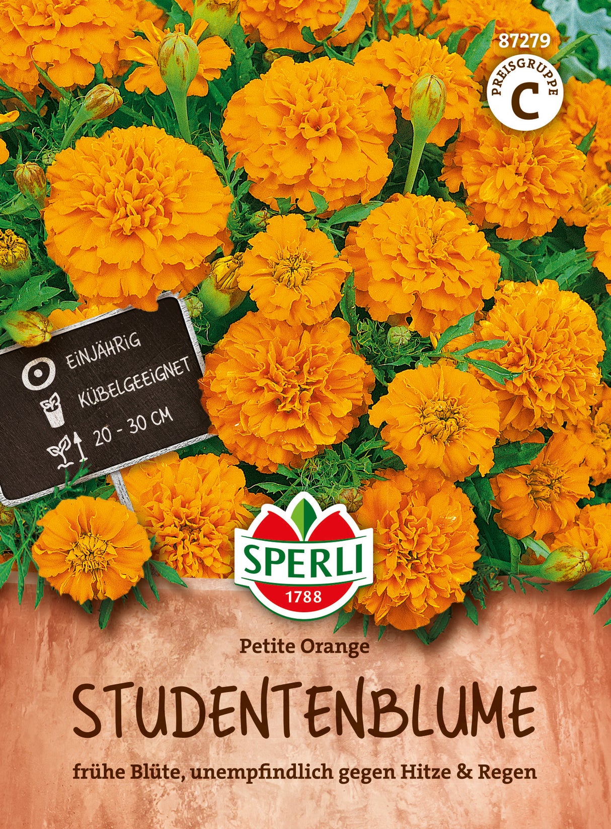 SPERLI Studentenblume Petite Orange