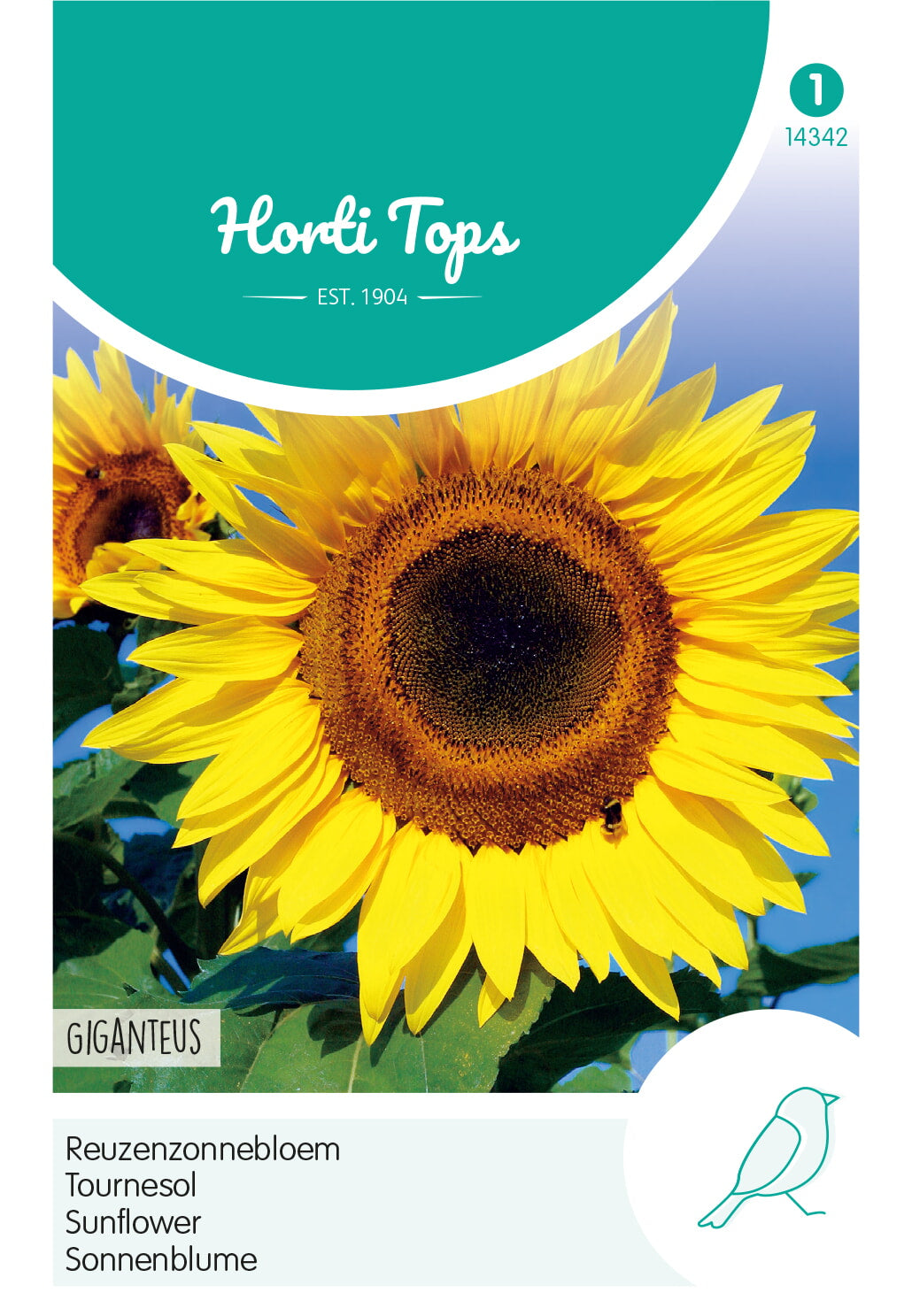 Horti Tops Sonnenblume Giganteus