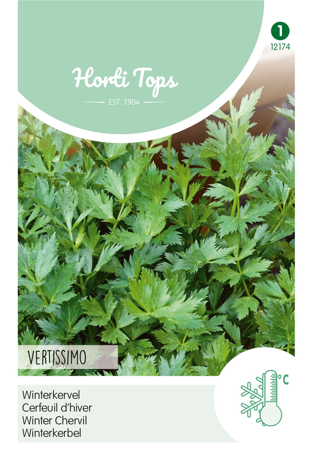 Horti Tops Kerbel Vertissimo Winter