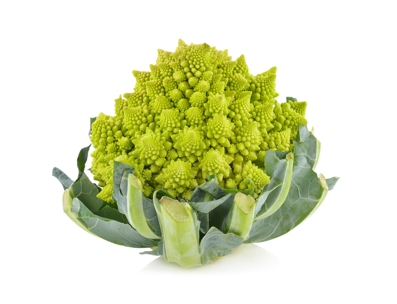Blumenkohl Romanesco natalino