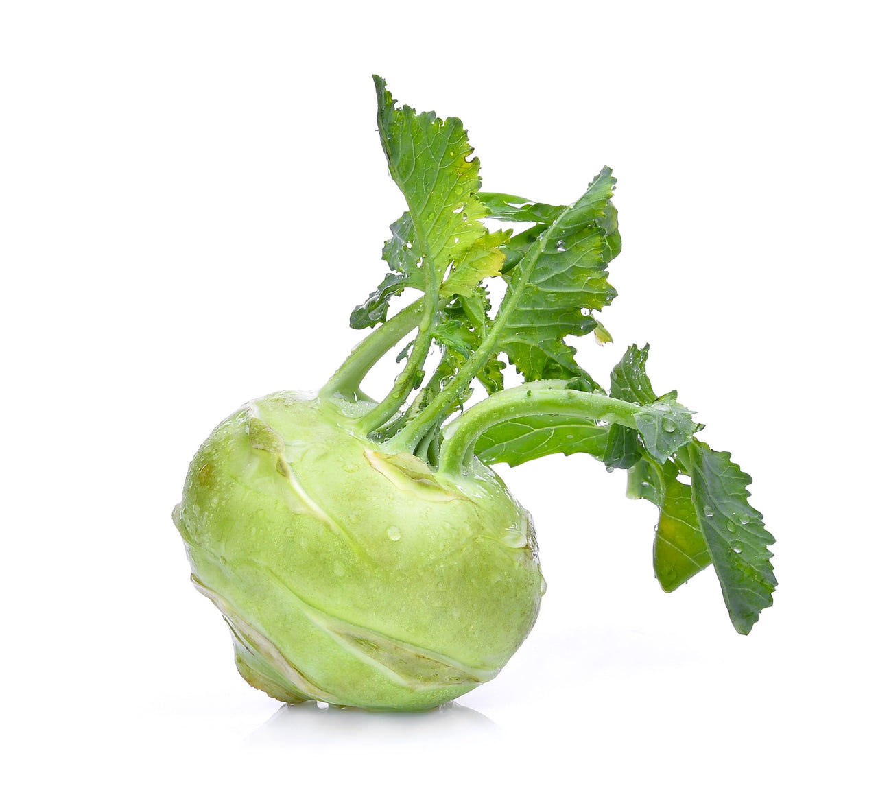 Kohlrabi Superschmelz