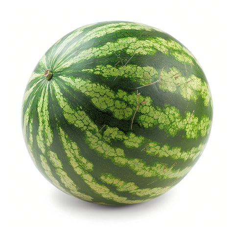 Melonensamen