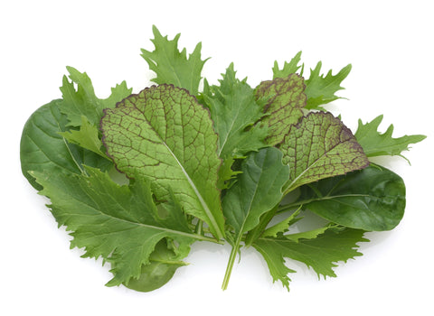 Asia-Salat