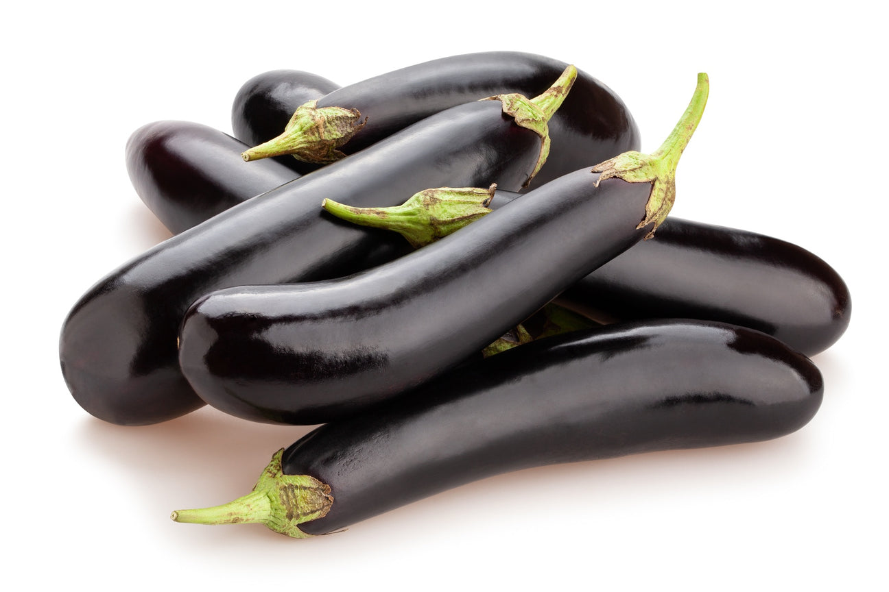 Aubergine Violet Knight