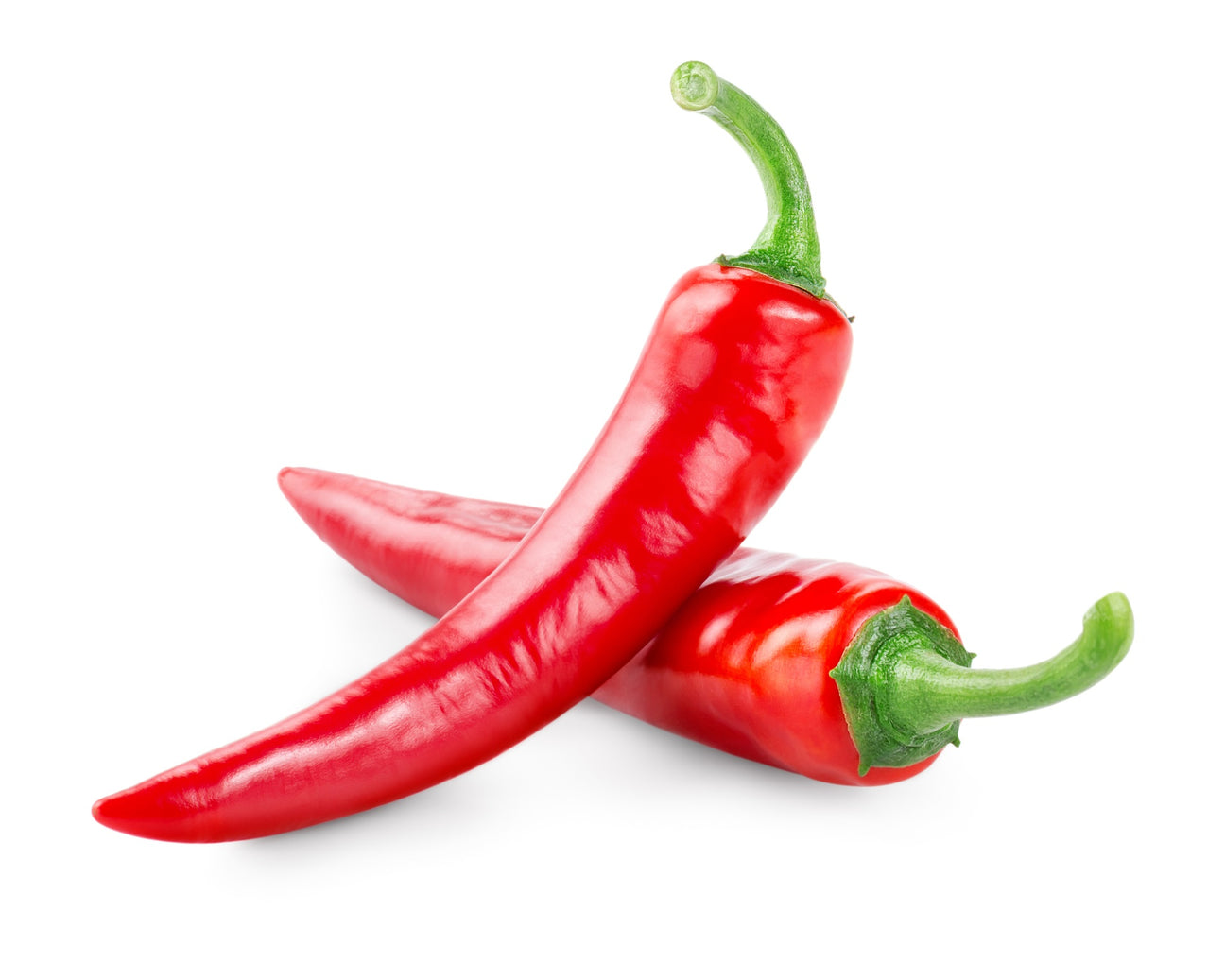 Chili Samen