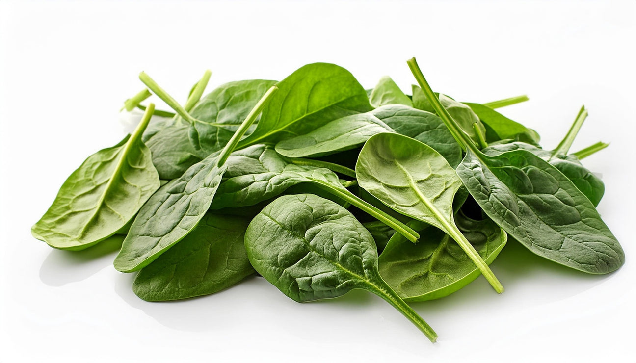 Spinat Samen