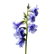 Glockenblumen Samen