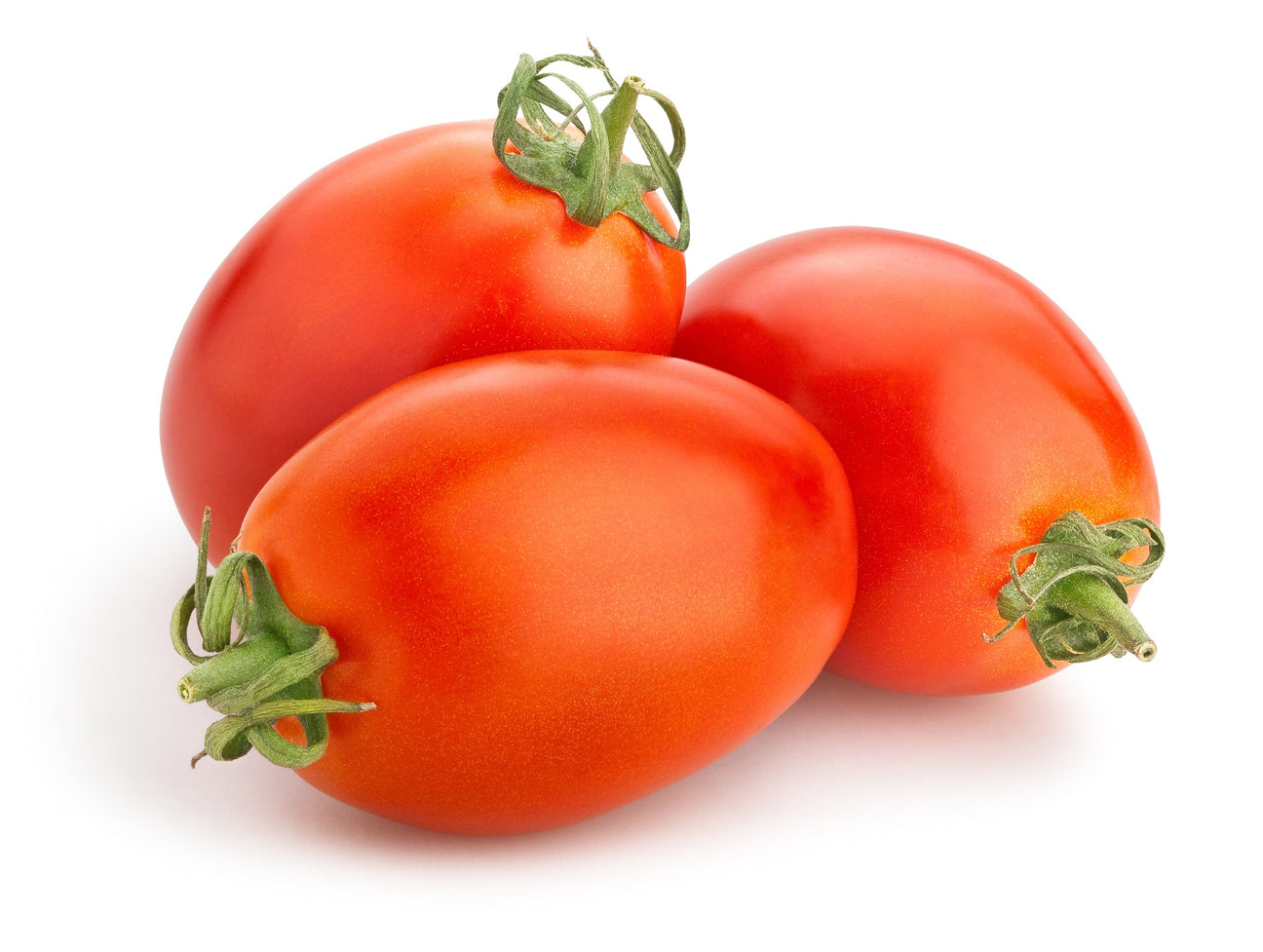 Salattomaten Roma VF