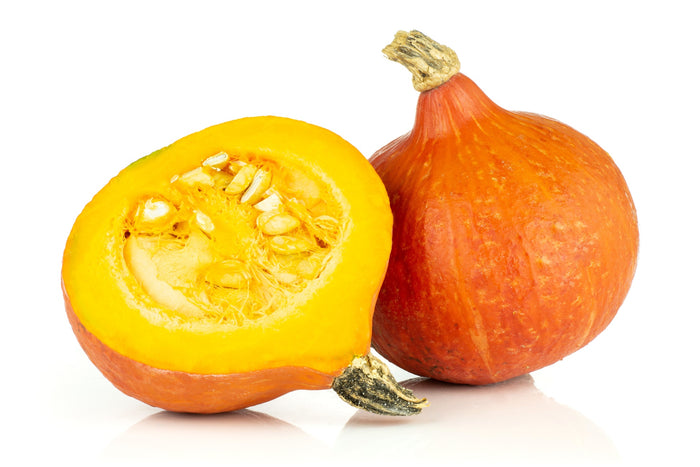 Hokkaidokürbis Amoro kaufen