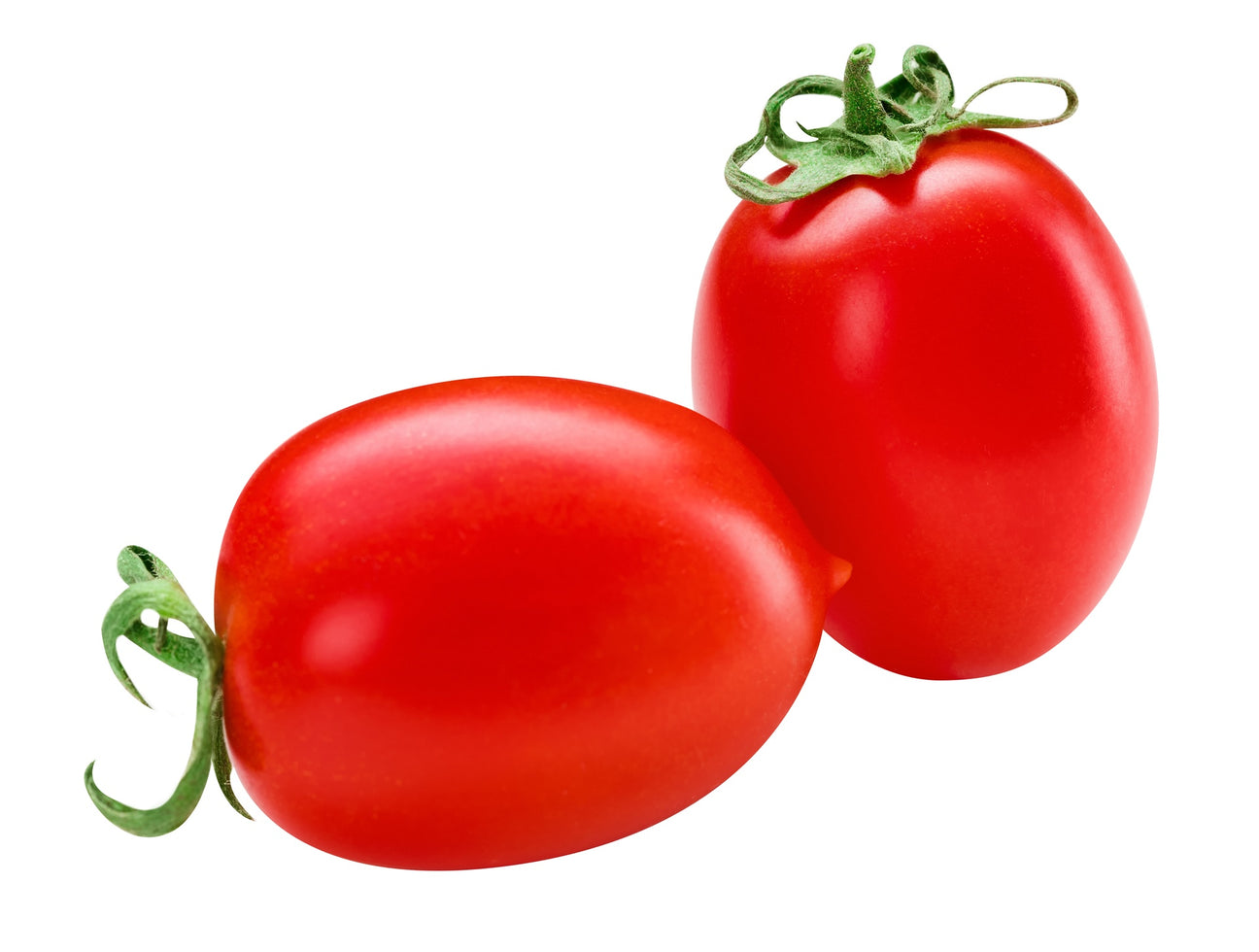 Salattomaten Bolstar Sensatica