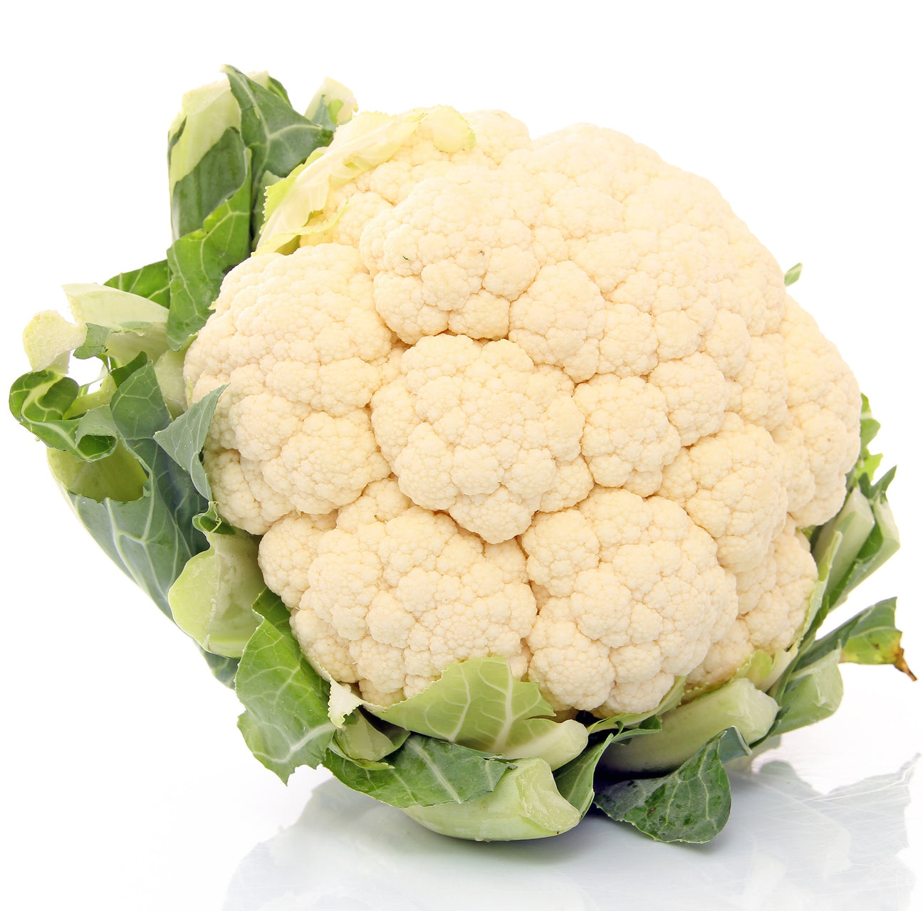Blumenkohl Erfurter Zwerg
