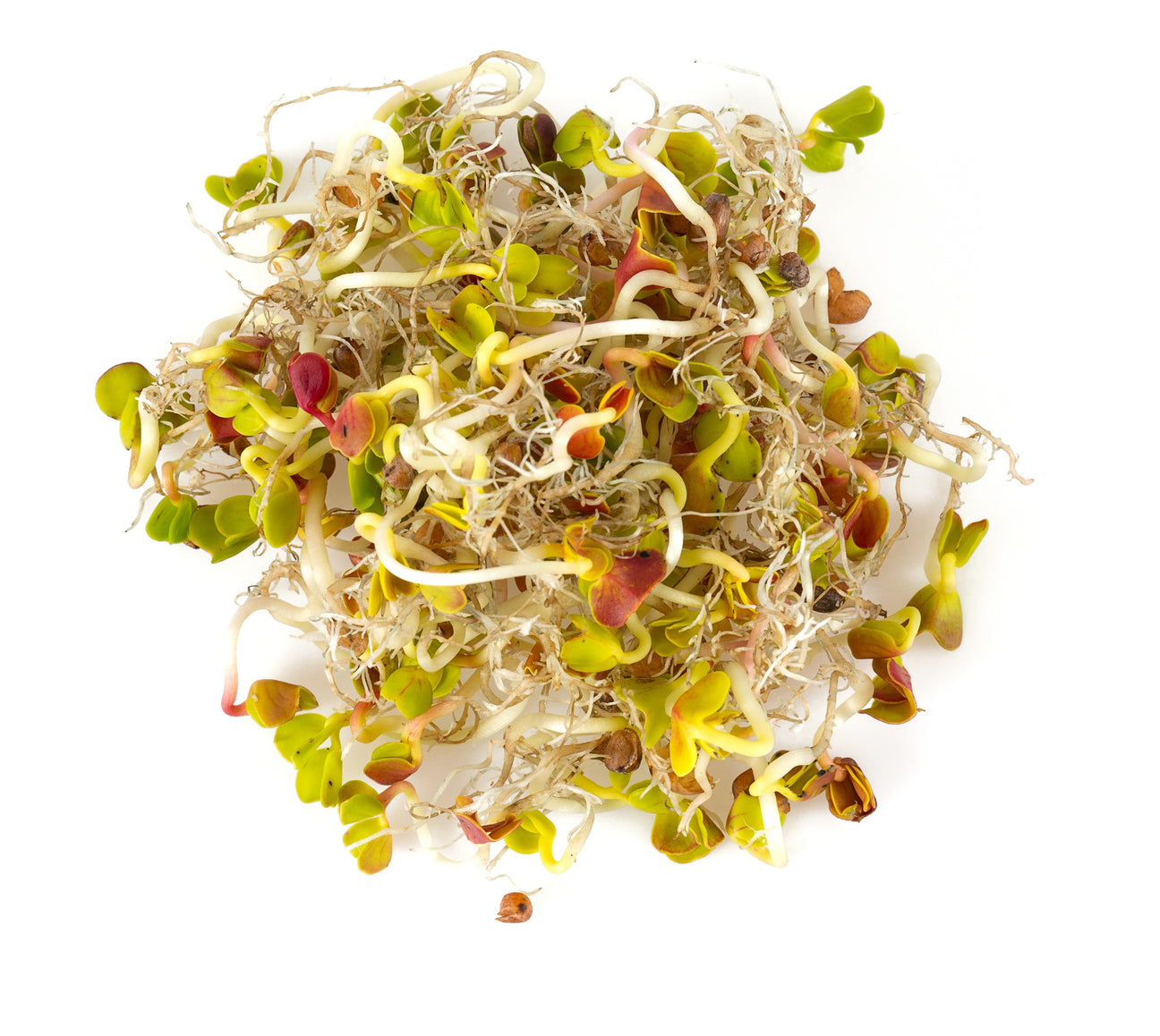 Mischungen Keimsprossen