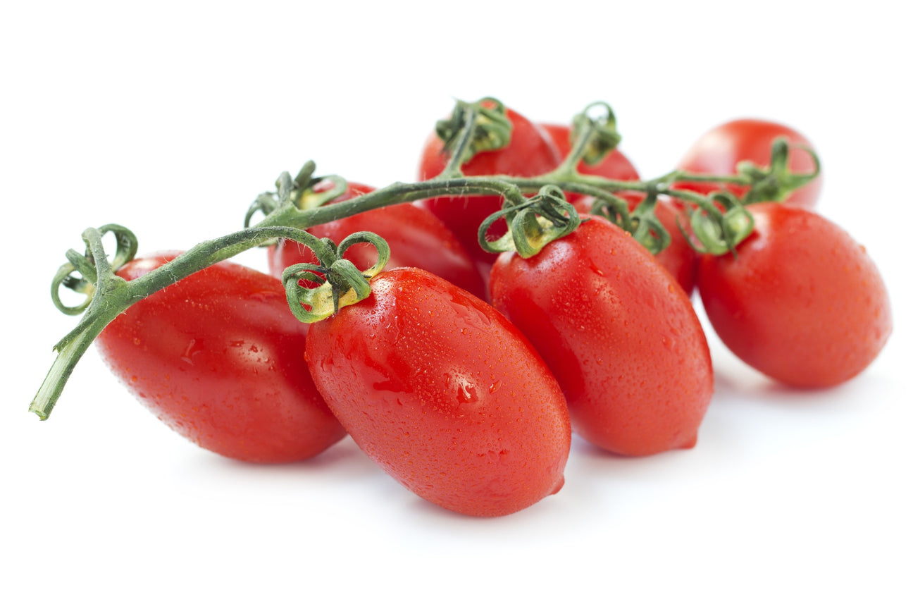 Salattomaten Agro