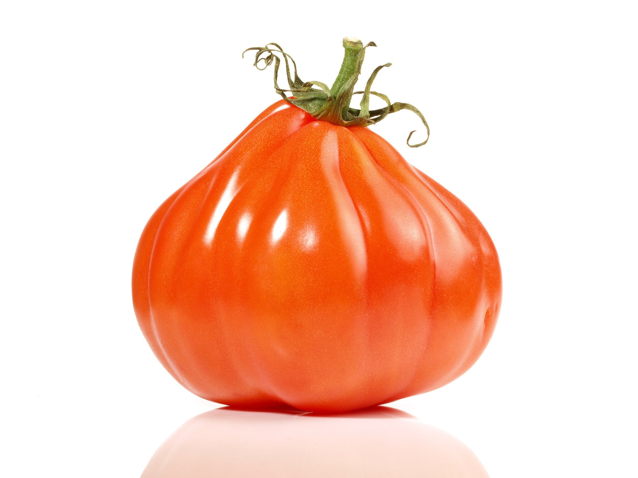 Fleischtomaten Corazon