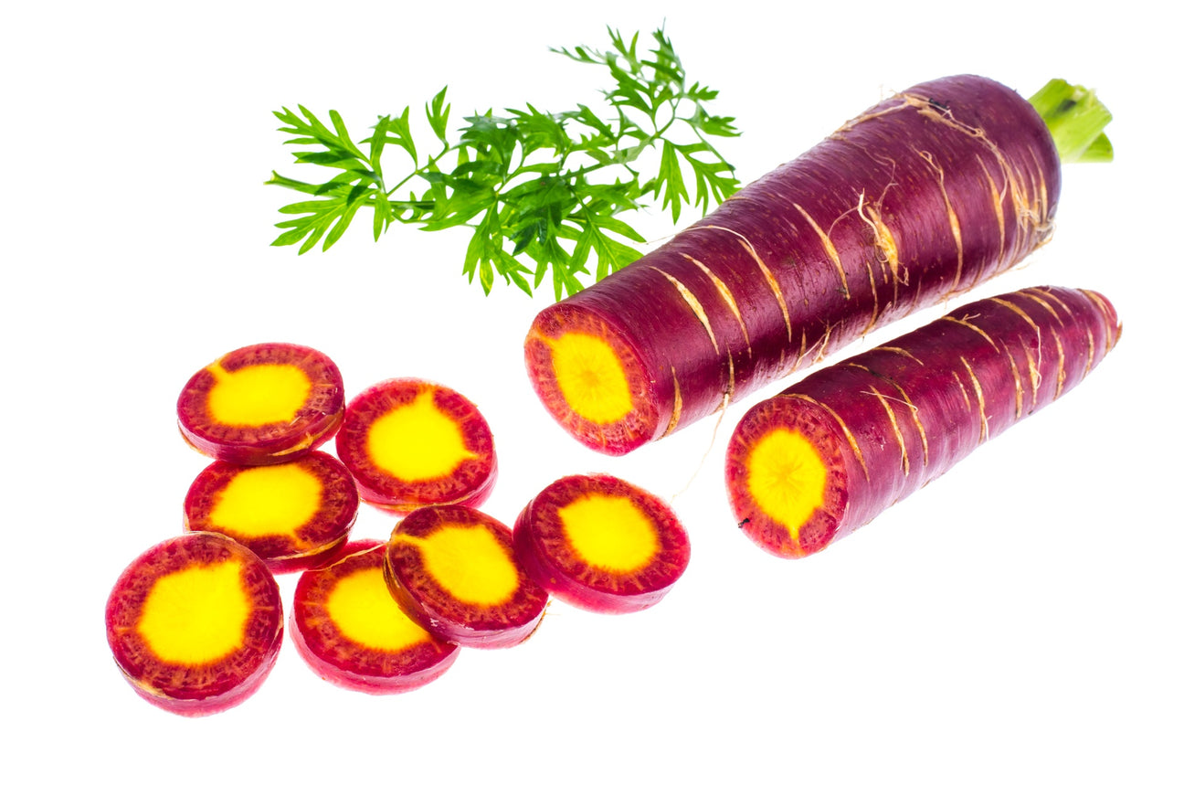 Möhren Purple Haze