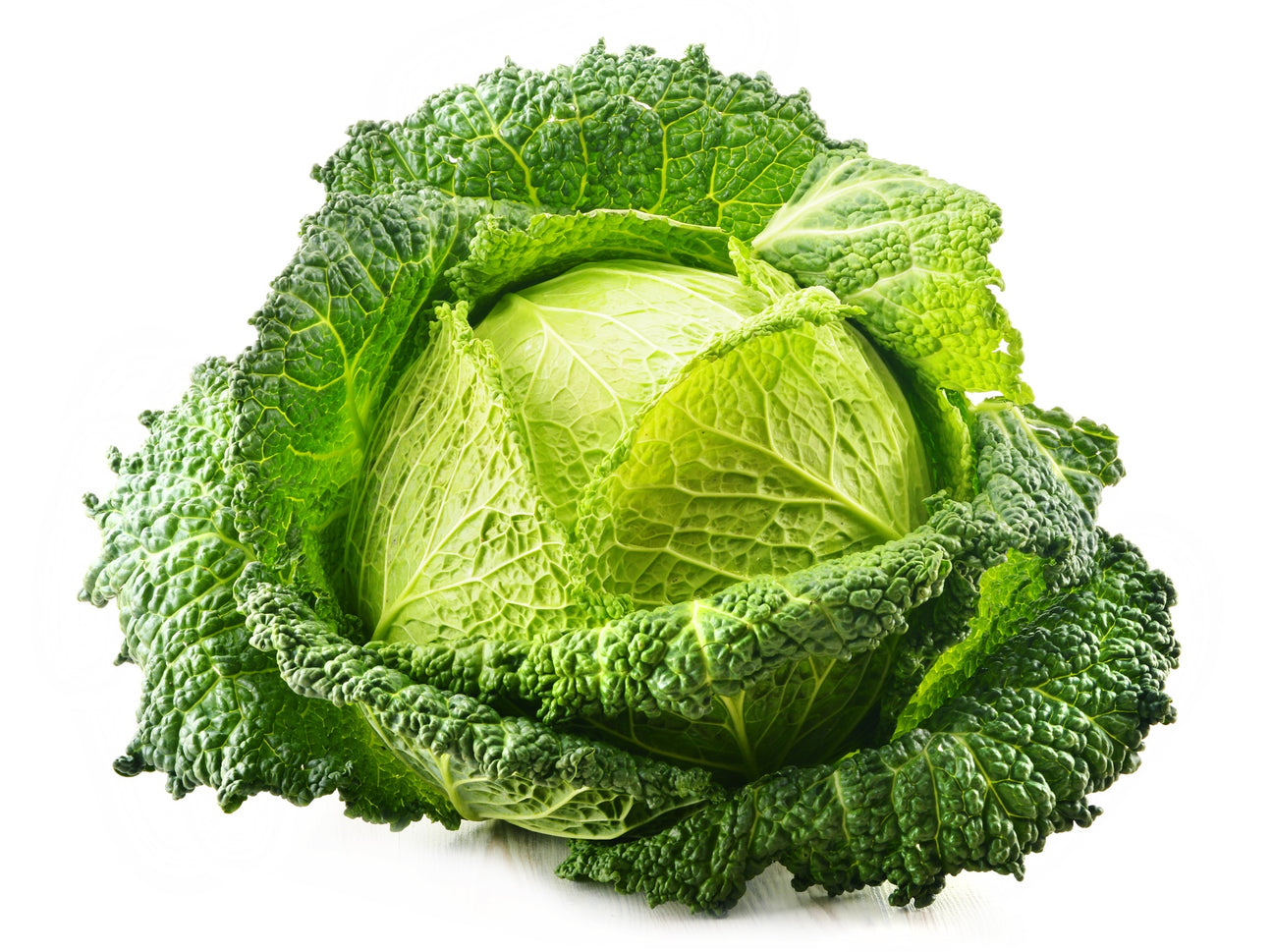 Kohl Samen