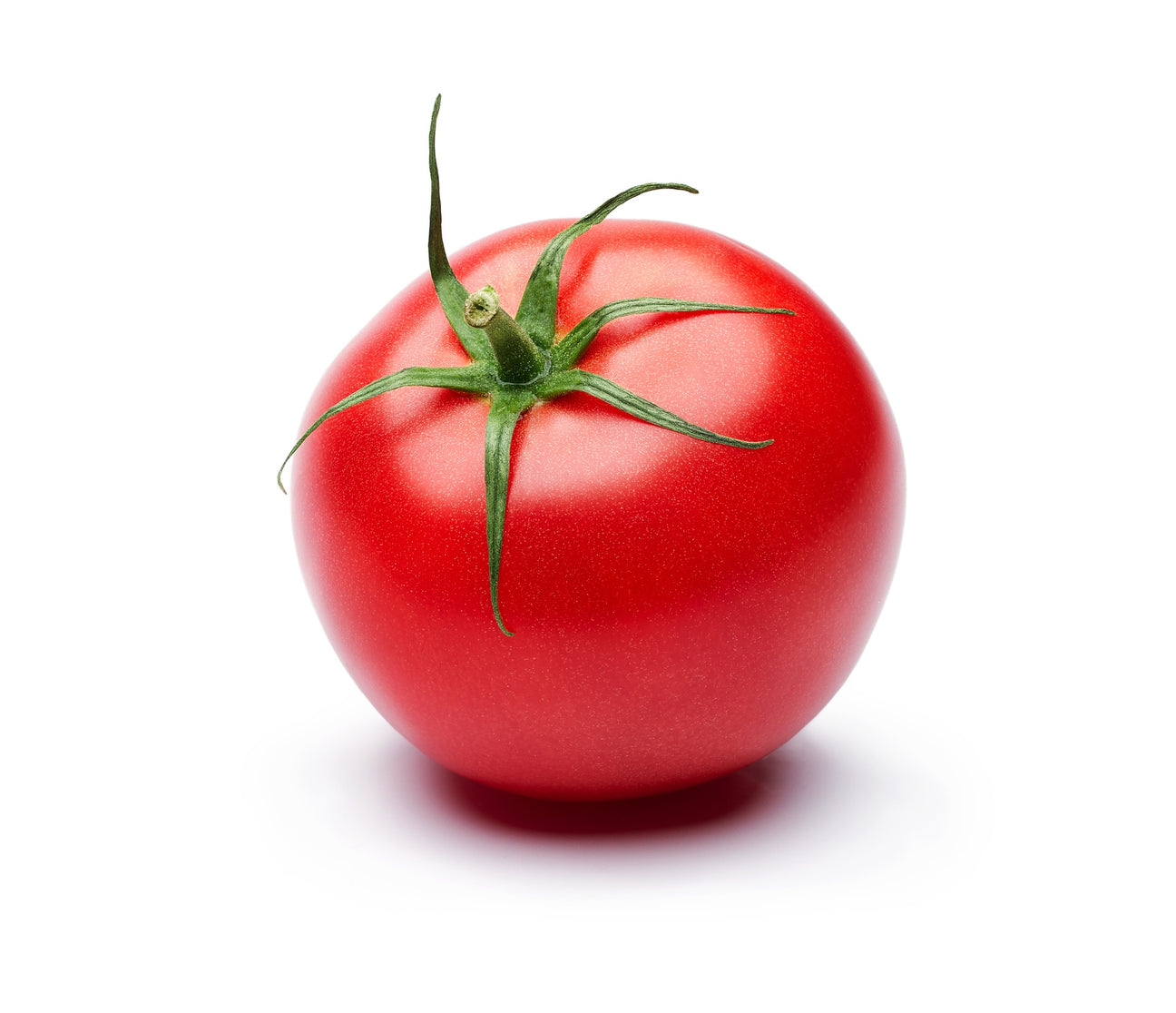 Salattomaten Diplom