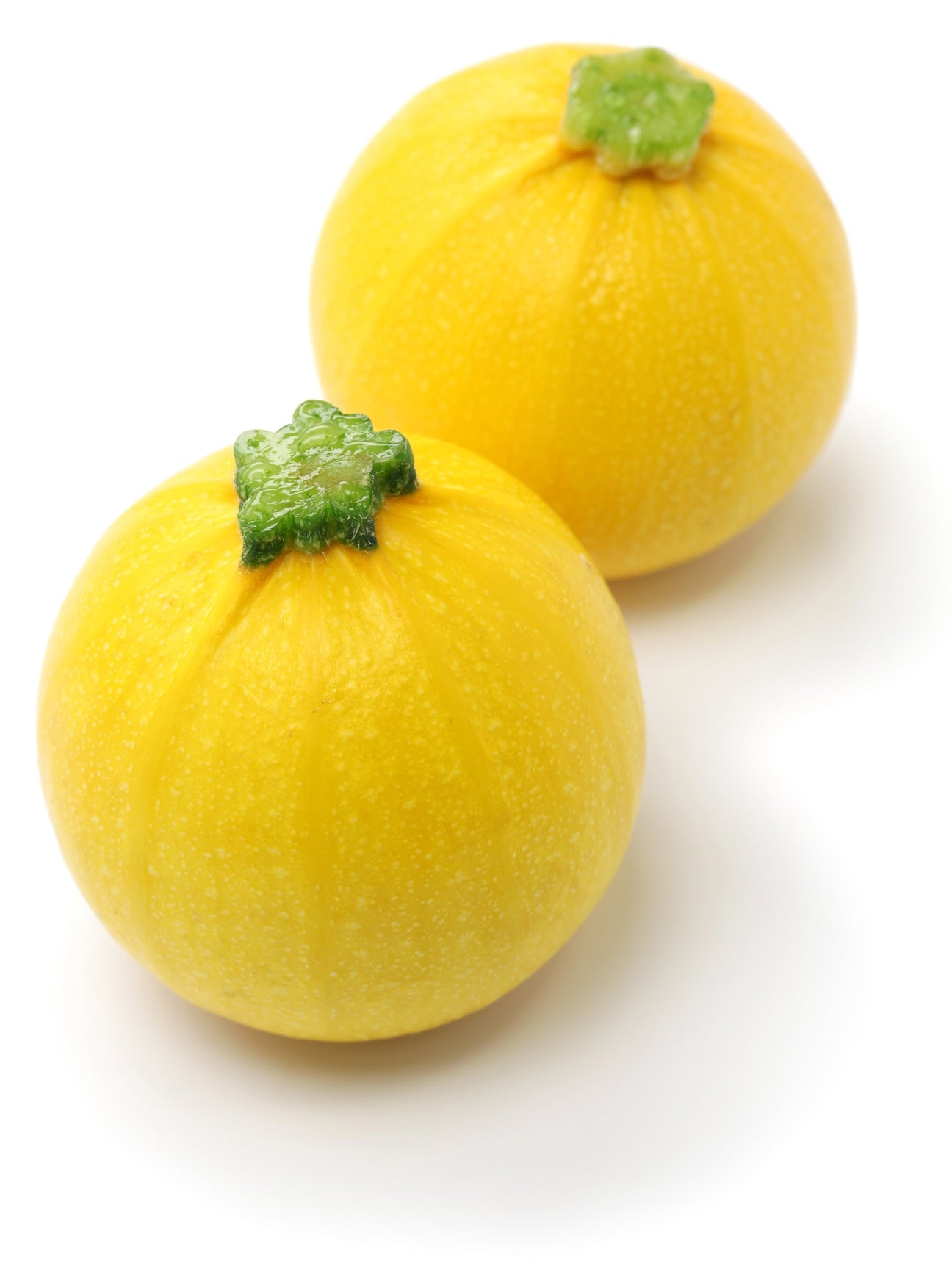 Zucchini Midas