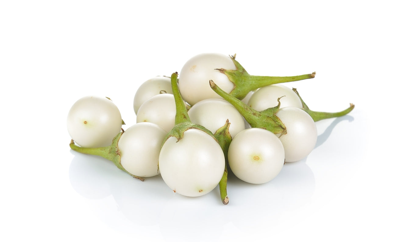 Aubergine White Egg