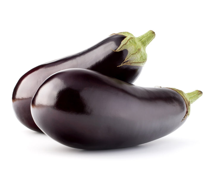 Auberginen Black Beauty kaufen